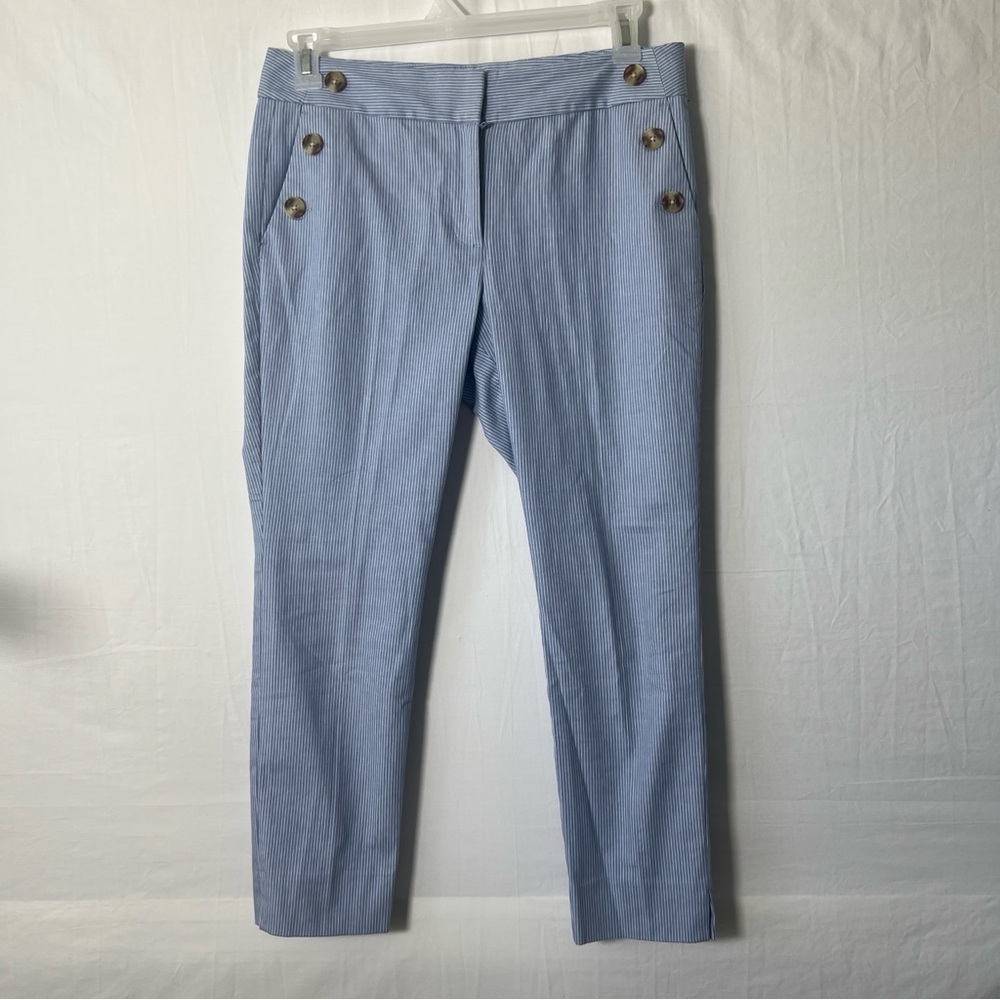 Loft Outlet Womens Blue Striped Slash Pocket Skinny Leg Ankle Pants Size 10P